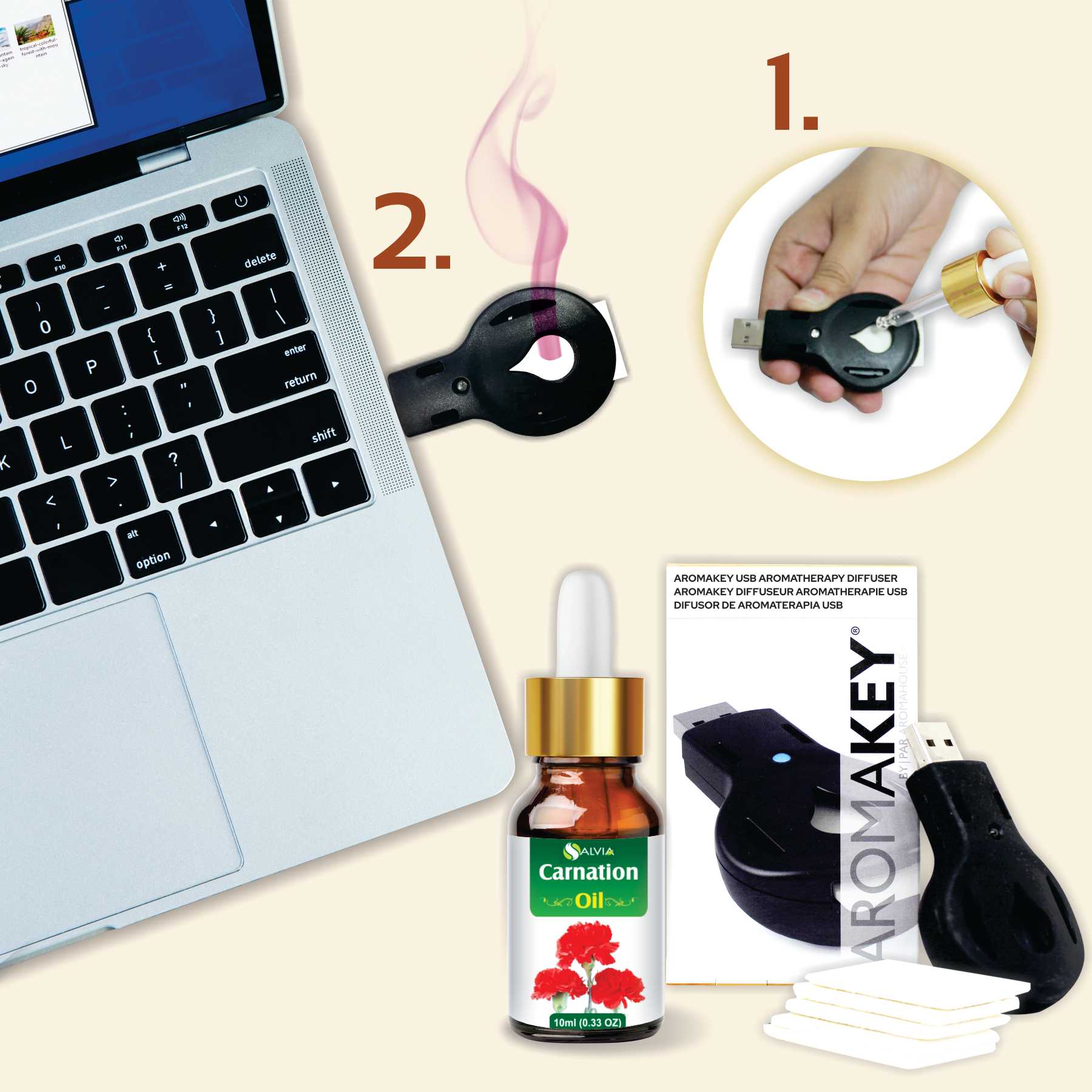 Salvia Gifts,USB Diffuser Combo Carnation Oil with Laptop USB Key Diffuser